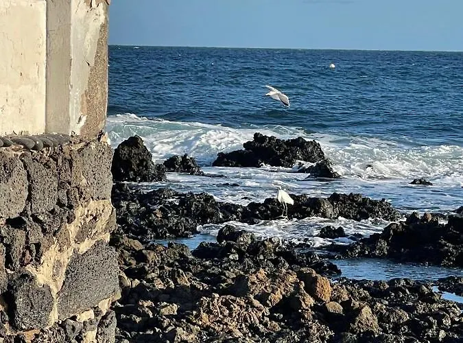 Brisas Complex, 104 * 普拉亚布兰卡