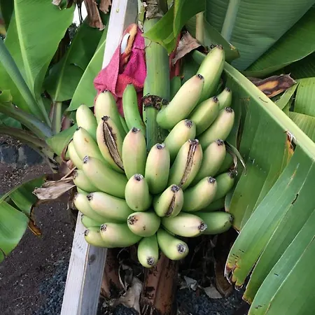 Nyaraló Brisas Complex, 104 Playa Blanca
