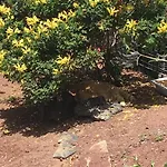 Brisas Complex, 104 Holiday home Playa Blanca (Lanzarote)