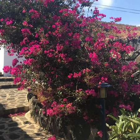 Brisas Complex, 104