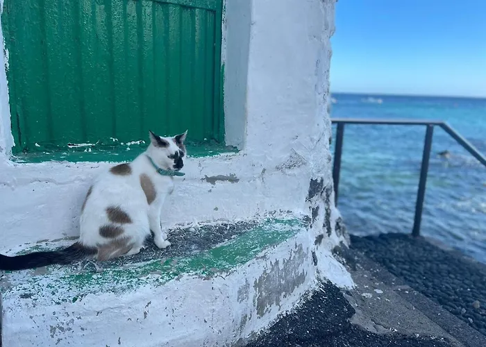 Brisas Complex, 104 Ferienhaus Playa Blanca (Lanzarote)