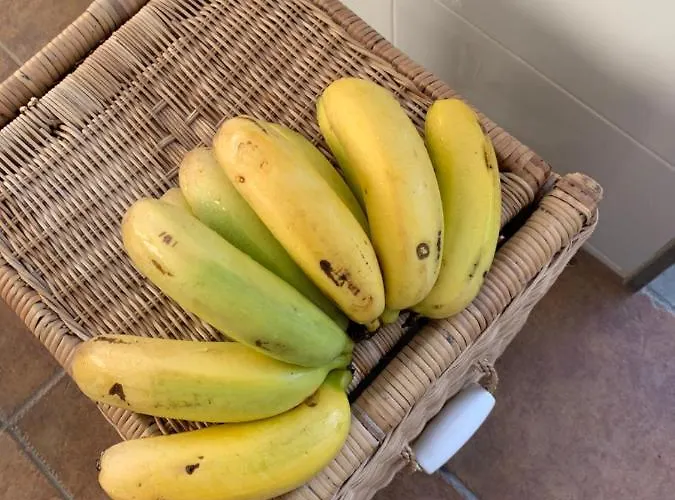 Ferienhaus Brisas Complex, 104 Playa Blanca (Lanzarote)