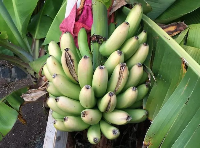 Holiday home Brisas Complex, 104 Playa Blanca (Lanzarote)