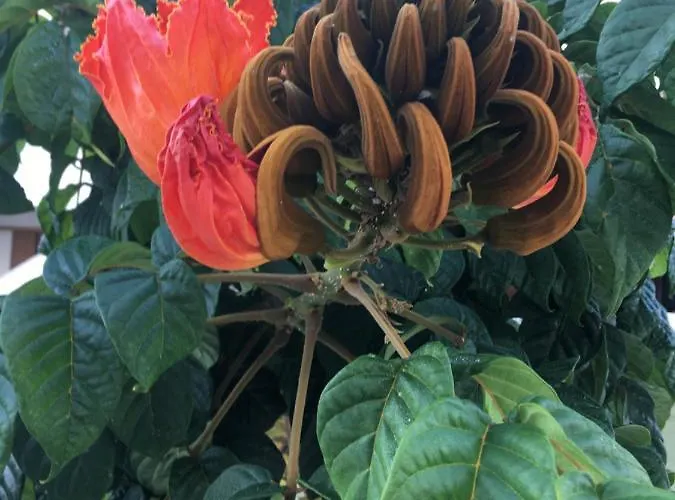 Brisas Complex, 104 Holiday home